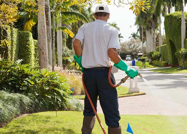 About Waleska GA Pest Control Pros